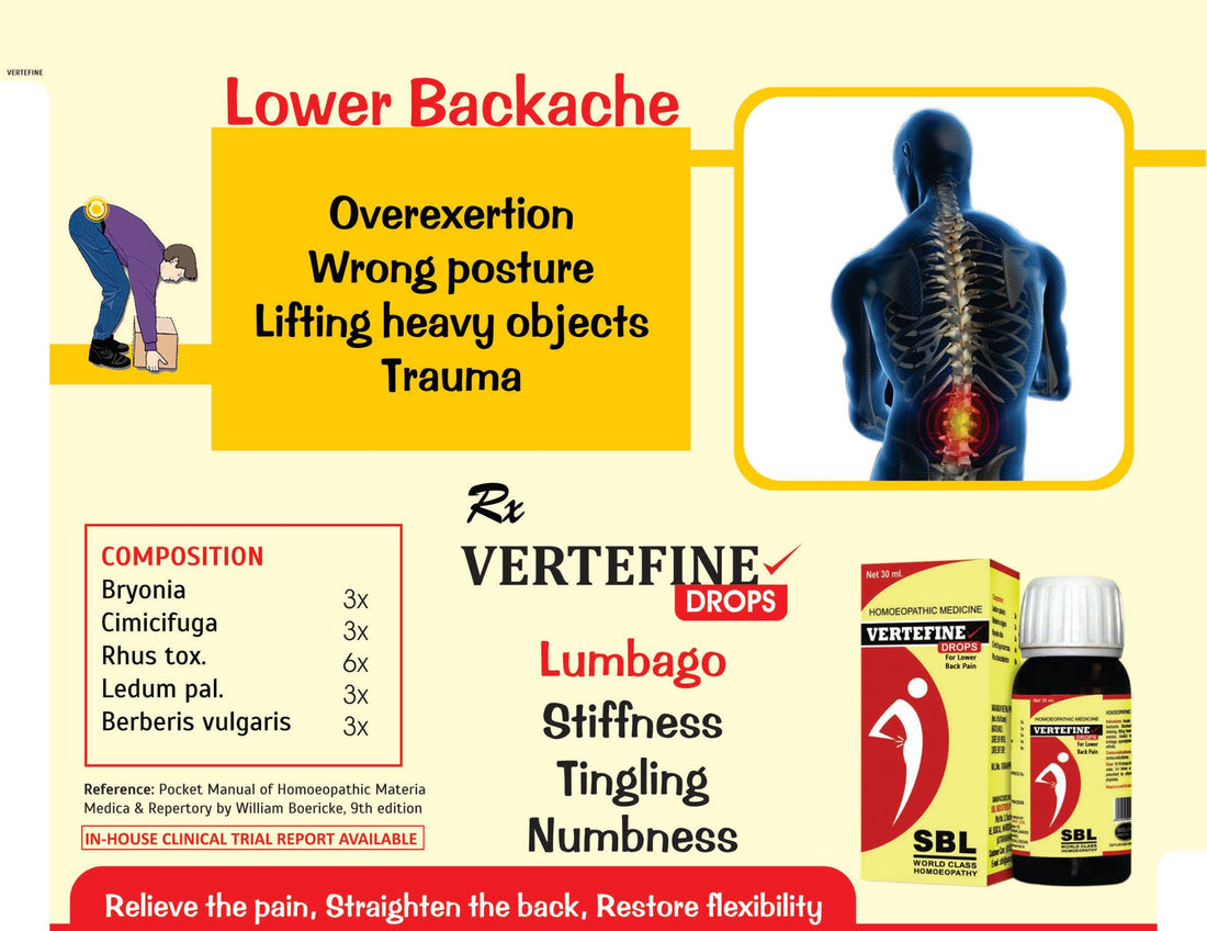 SBL Vertefine Drops Effective Homeopathic Relief for Lower Back Pain, 0.08 kg
