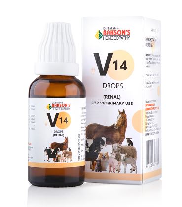 Bakson's V14 (Renal) Drops Homeopathic Remedy for Renal Health in Pets, 0.12 kg