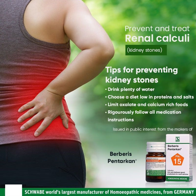 Schwabe Berberis Pentarkan Tablets Homeopathy for Kidney Stones, Gout & High Uric Acid, 0.08 kg