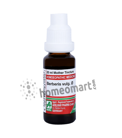 German Berberis Vulgaris Homeopathy Mother Tincture | Dr. Reckeweg, WSG, 0.08 kg