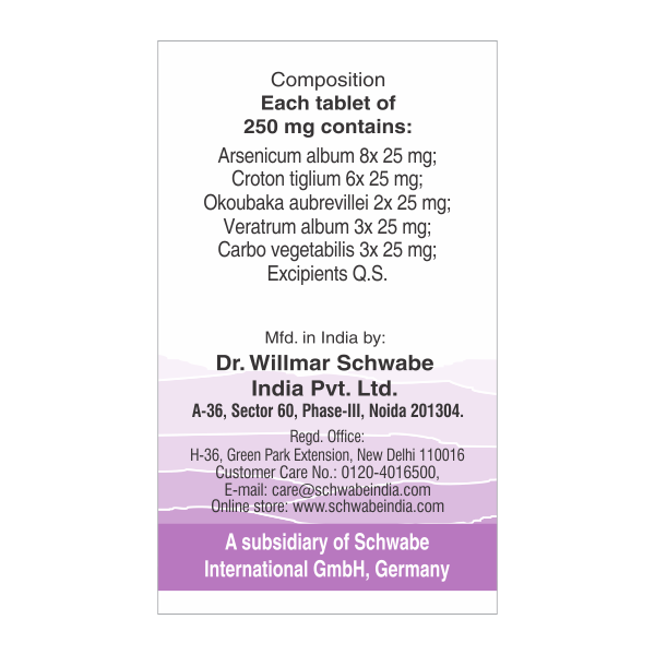 Schwabe Alpha DP Tablets for Gastro Intestinal Disorders, Nausea, Diarrhea, 0.08 kg