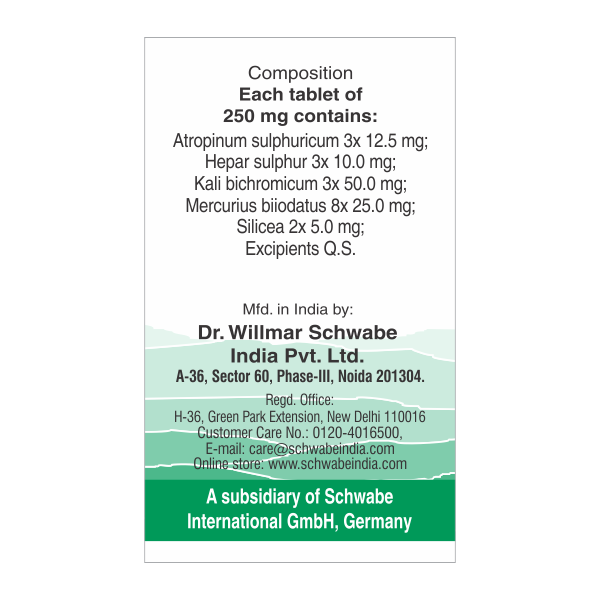 Schwabe Alpha Tons tablets for inflammation of Tonsils, 0.08 kg