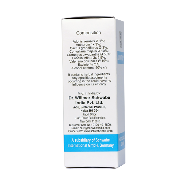 Schwabe Angioton Hypotension Drops for Dizziness, Blurred Vision, 0.08 kg