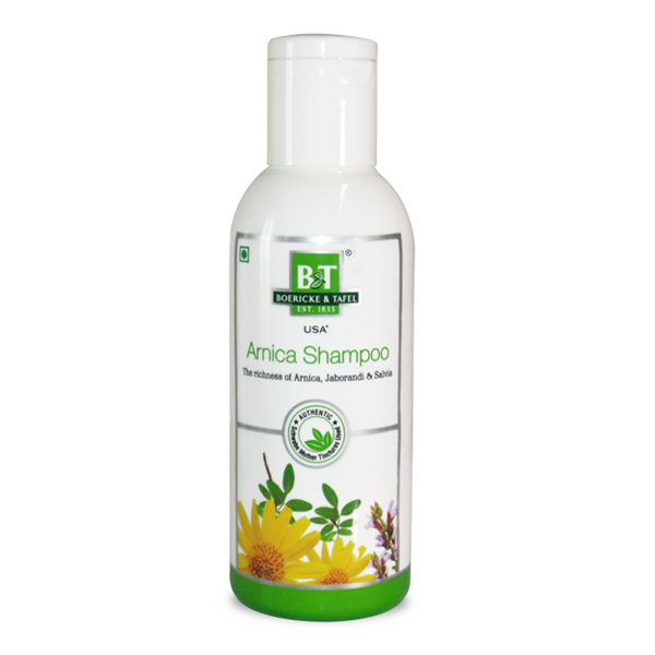 Schwabe B&T Arnica Shampoo with Arnica, Jaborandi, Salvia, 0.20 kg