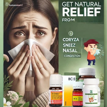 SBL Bio-combination (BC5) Tablets for Coryza and Nasal Congestion, 0.08 kg