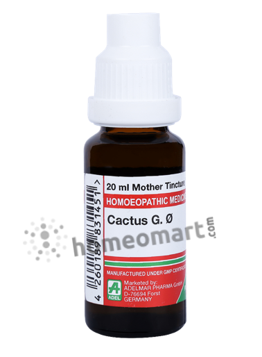 German Cactus Grandiflorus Homeopathy Mother Tincture | Dr. Reckeweg, WSG, 0.08 kg
