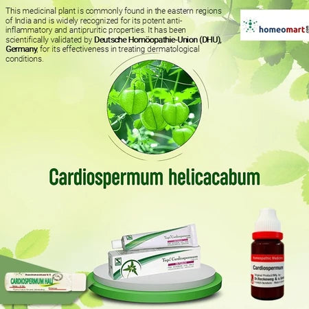 SBL Cardiospermum Helicacabum Cream. Psoriasis, Atopic dermatitis, 0.08 kg
