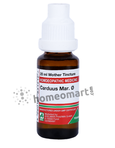 German Carduus Marianus Homeopathy Mother Tincture | Dr. Reckeweg, WSG, 0.08 kg