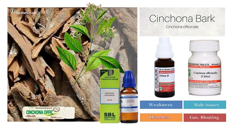German Cinchona Officinalis (China) Homeopathy Mother Tincture | Dr. Reckeweg, WSG, 0.08 kg