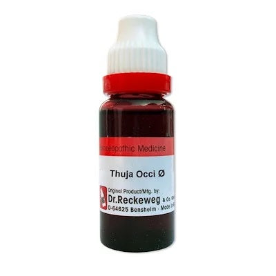 German Thuja Occidentalis Homeopathy Mother Tincture | Reckeweg, WSG, 0.08 kg