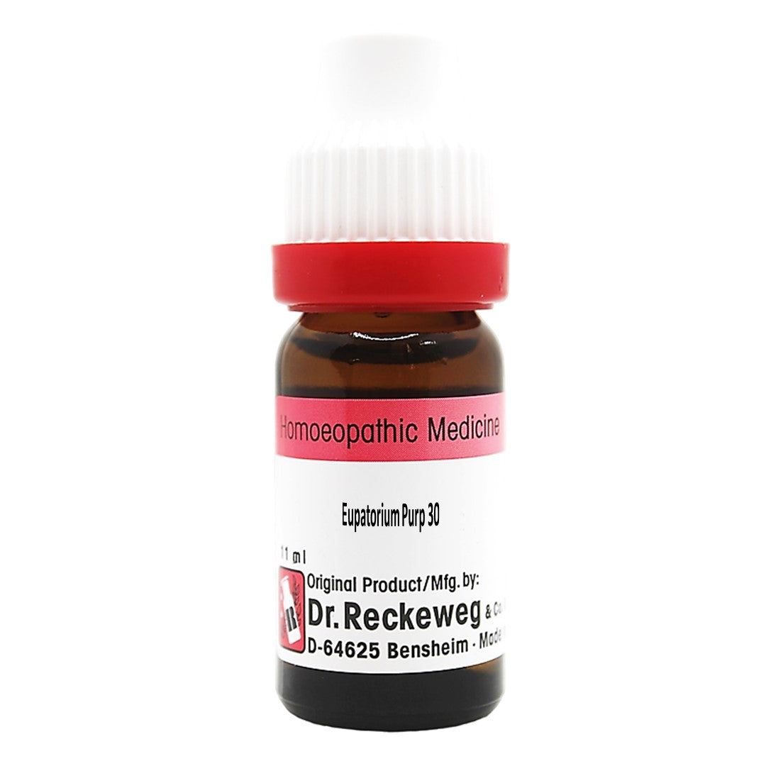 Dr Reckeweg Eupatorium Purpureum Homeopathy Dilution 6C, 30C, 200C, 1M, 0.08 kg