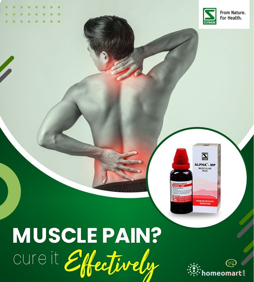 Schwabe Alpha MP Homeopathy Drops Natural Muscle & Joint Pain Relief, 0.08 kg