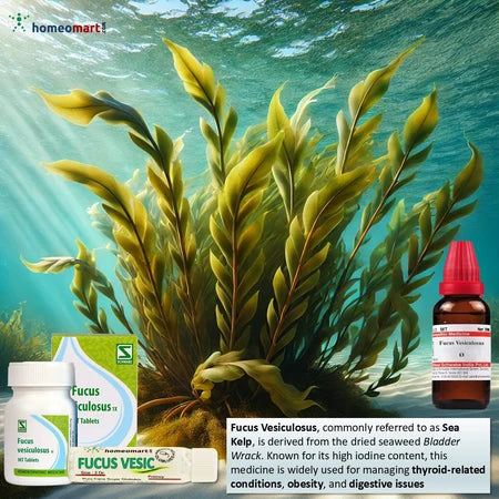 German Fucus Vesiculosus Homeopathy Mother Tincture | Dr. Reckeweg, WSG, 0.00 kg
