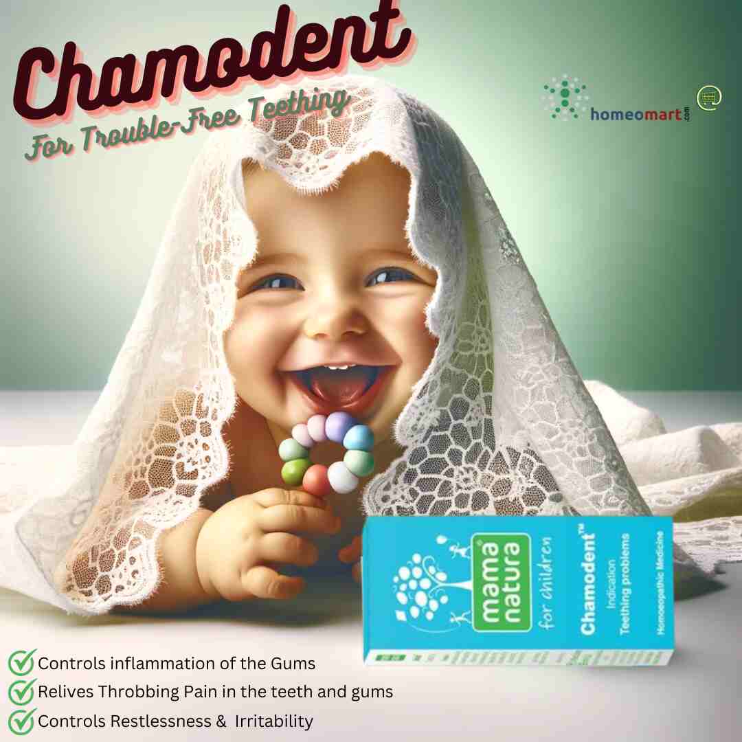 Schwabe Chamodent Tablets for Infant Teething Relief, 0.08 kg