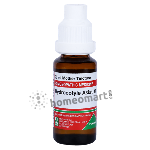German Hydrocotyle Asiatica Homeopathy Mother Tincture | Dr. Reckeweg, WSG, 0.08 kg