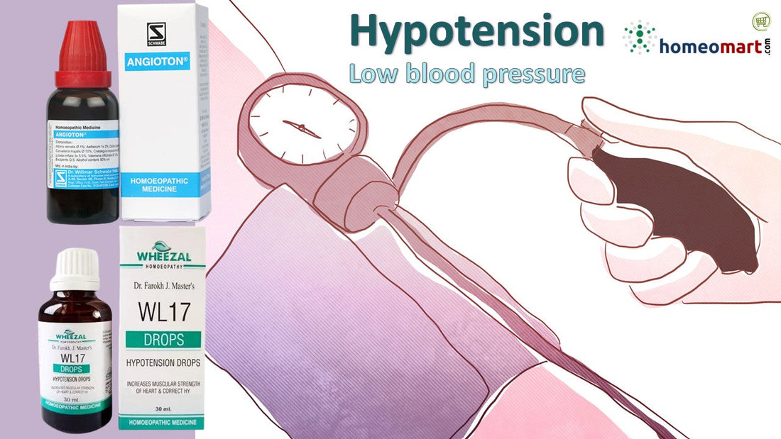 Schwabe Angioton Hypotension Drops for Dizziness, Blurred Vision, 0.08 kg