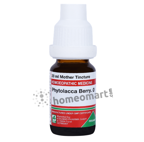 German Phytolacca Berry Homeopathy Mother Tincture | Dr. Reckeweg, WSG, 0.08 kg
