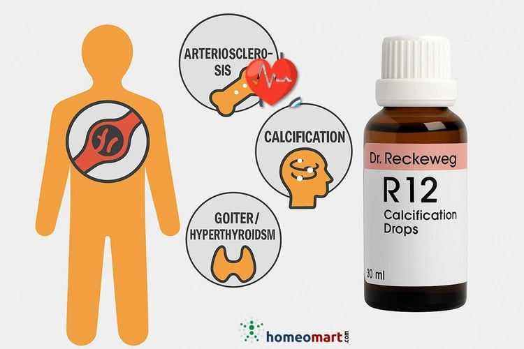 Dr. Reckeweg R12 Drops Relief from Arteriosclerosis, Calcification & Calcium Deposits, 0.10 kg