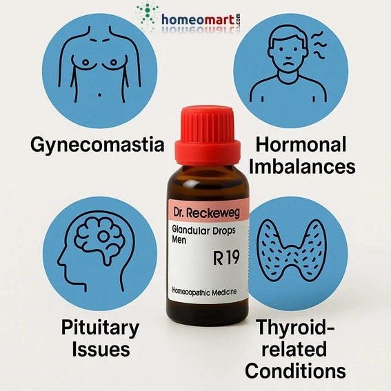 Dr. Reckeweg R19 Drops: Homeopathy for Glandular Imbalances in Men, 0.08 kg