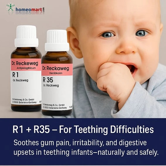 Dr. Reckeweg R1 Complimentary Combos Homeopathic Alternatives to NSAIDs for Inflammation & Infection Relief, 0.20 kg