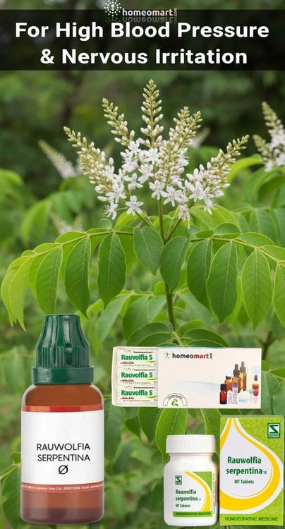 Schwabe Rauvolfia Serpentina 1X Tablets for High Blood Pressure, 0.12 kg