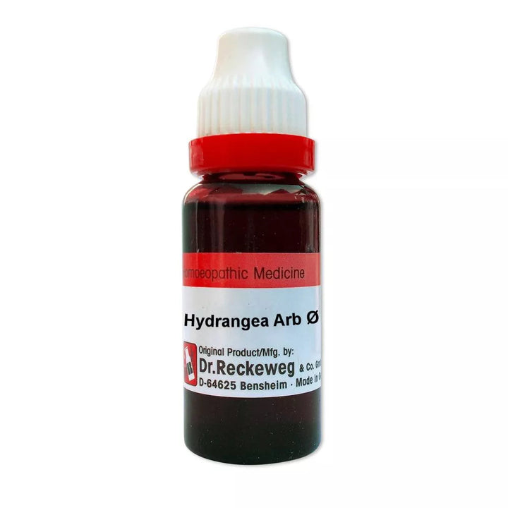 German Hydrangea Arborescens Homeopathy Mother Tincture | Reckeweg, WSG, 0.08 kg