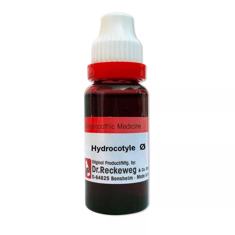 German Hydrocotyle Asiatica Homeopathy Mother Tincture | Reckeweg, WSG, 0.08 kg