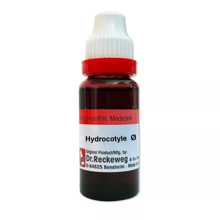 German Hydrocotyle Asiatica Homeopathy Mother Tincture | Reckeweg, WSG, 0.08 kg