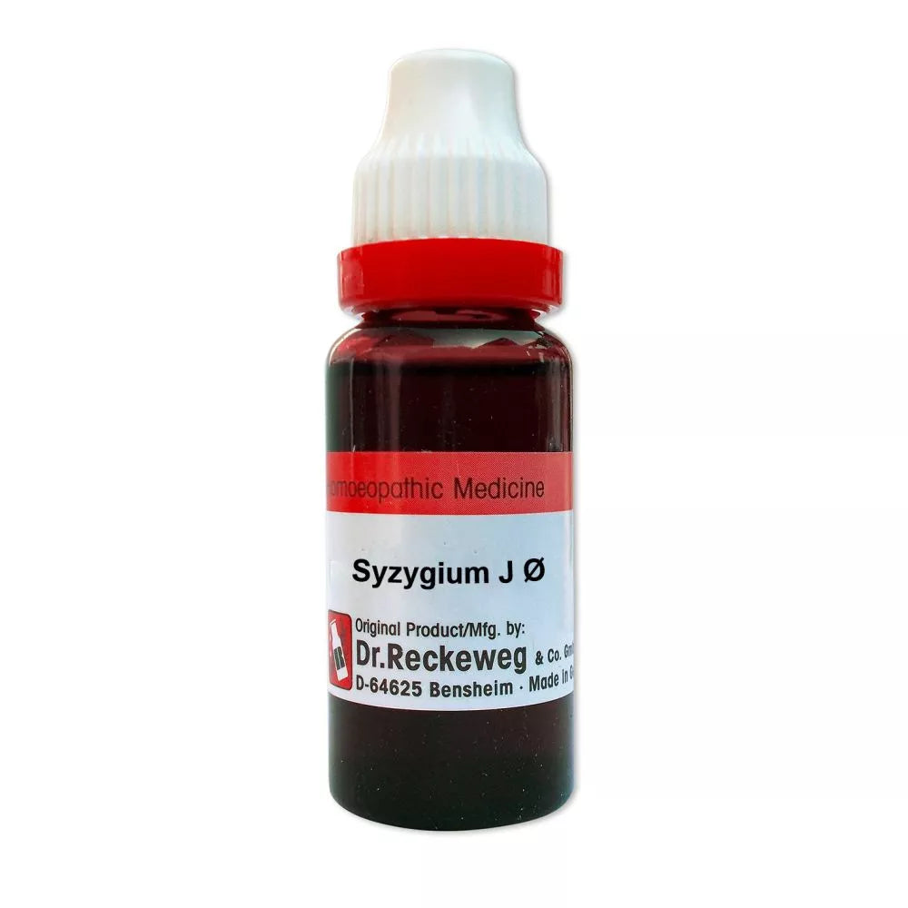 German Syzygium Jambolanum Homeopathy Mother Tincture | Reckeweg,WSG, 0.08 kg