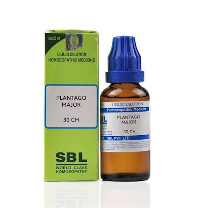 Plantago Major Homeopathy Dilution 6C, 30C, 200C, 1M, 10M in SBL Schwabe, 0.08 kg