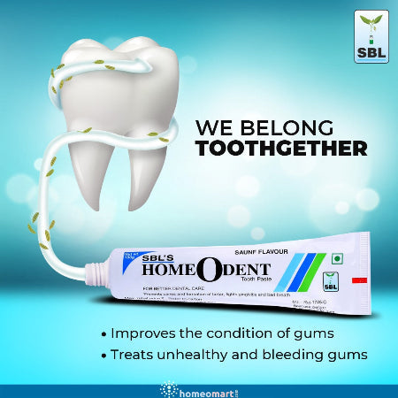 SBL Homeodent Toothpaste (Saunf Flavour) Natural Oral Care Solution, 0.14 kg