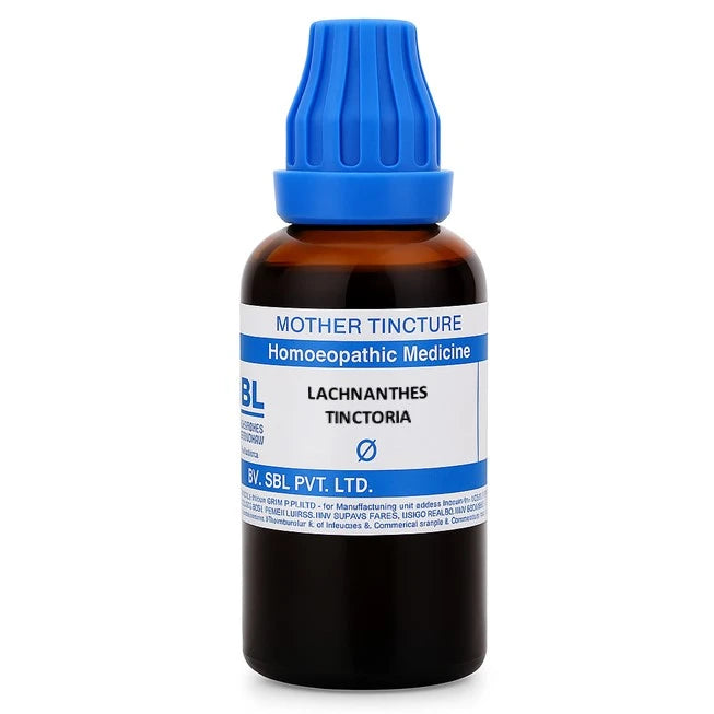 Lachnanthes Tinctoria Homeopathy Mother Tincture, 0.08 kg