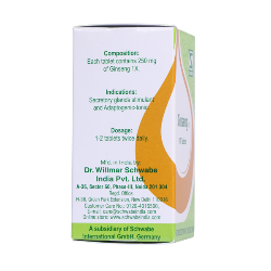 Schwabe Ginseng 1X Tablets Natural Remedy for Stress, Stamina, and Vitality, 0.12 kg