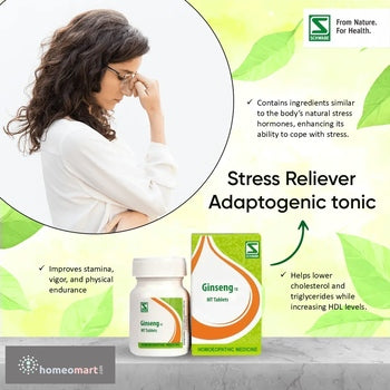 Schwabe Ginseng 1X Tablets Natural Remedy for Stress, Stamina, and Vitality, 0.12 kg