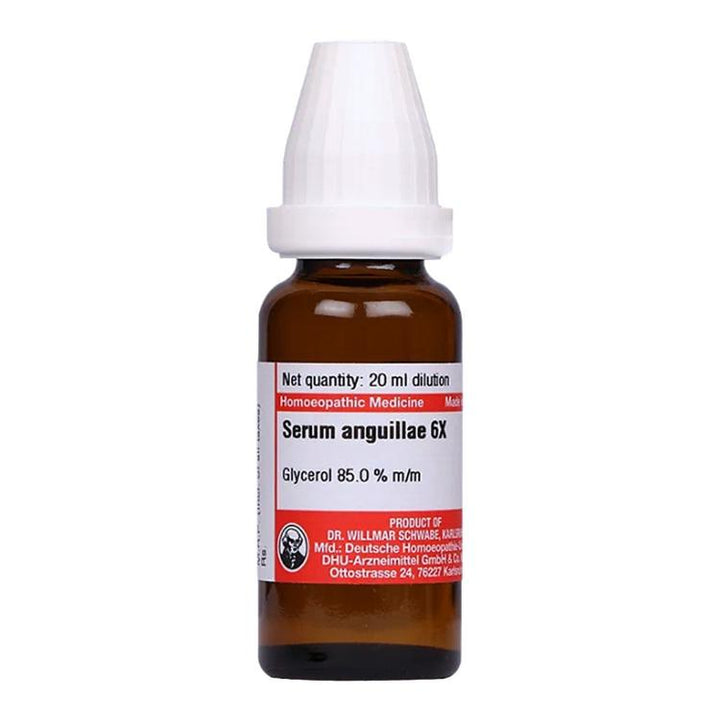 Dr. Willmar Schwabe Germany Serum Anguillae Dilution 6X for Kidney & Heart Health, 0.10 kg