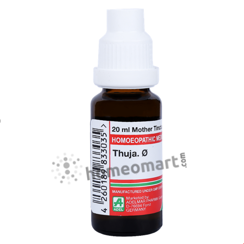 German Thuja Occidentalis Homeopathy Mother Tincture | Dr. Reckeweg, WSG, 0.08 kg