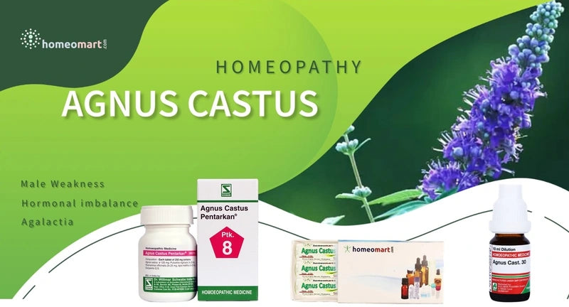 German Agnus Castus Homeopathy Mother Tincture | Dr. Reckeweg, WSG, 0.08 kg