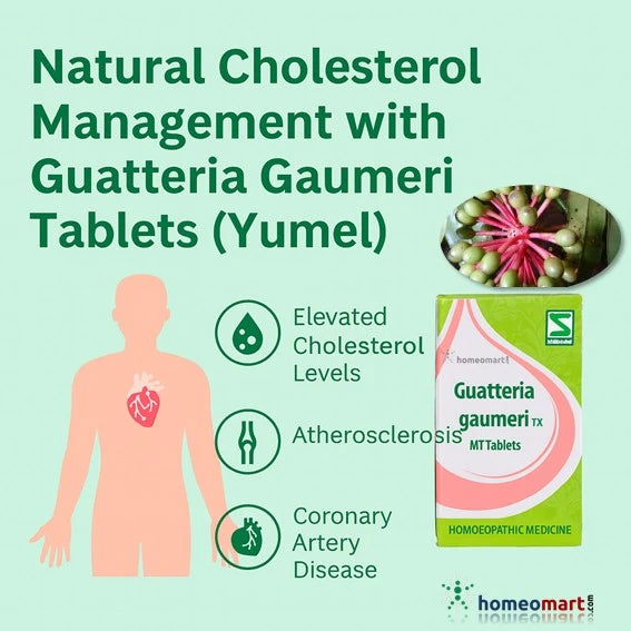 Guatteria Gaumeri (Yumel) Tablets for High Cholesterol, Atherosclerosis Schwabe & Wheezal, 0.10 kg