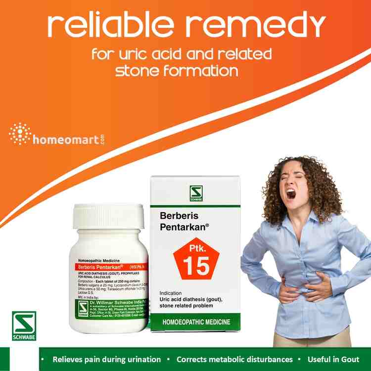 Schwabe Berberis Pentarkan Tablets Homeopathy for Kidney Stones, Gout & High Uric Acid, 0.08 kg