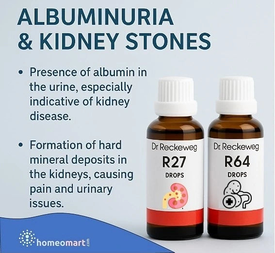 Dr. Reckeweg R27 Kidney Stone Drops - Homeopathy for Renal Calculi, 0.08 kg