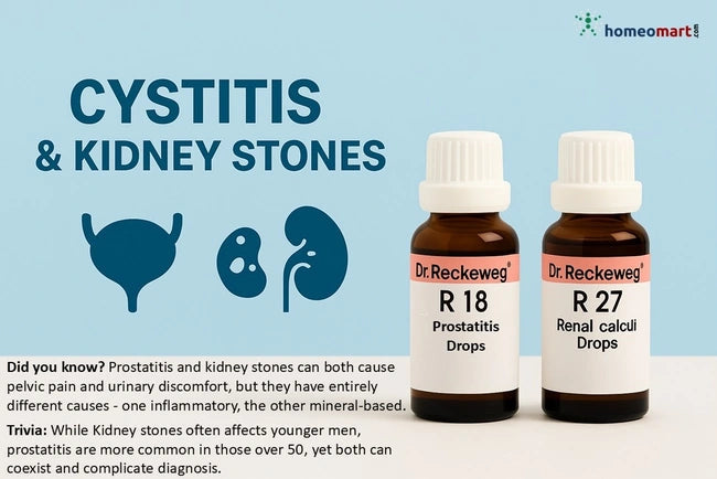 Dr. Reckeweg R27 Kidney Stone Drops - Homeopathy for Renal Calculi, 0.08 kg