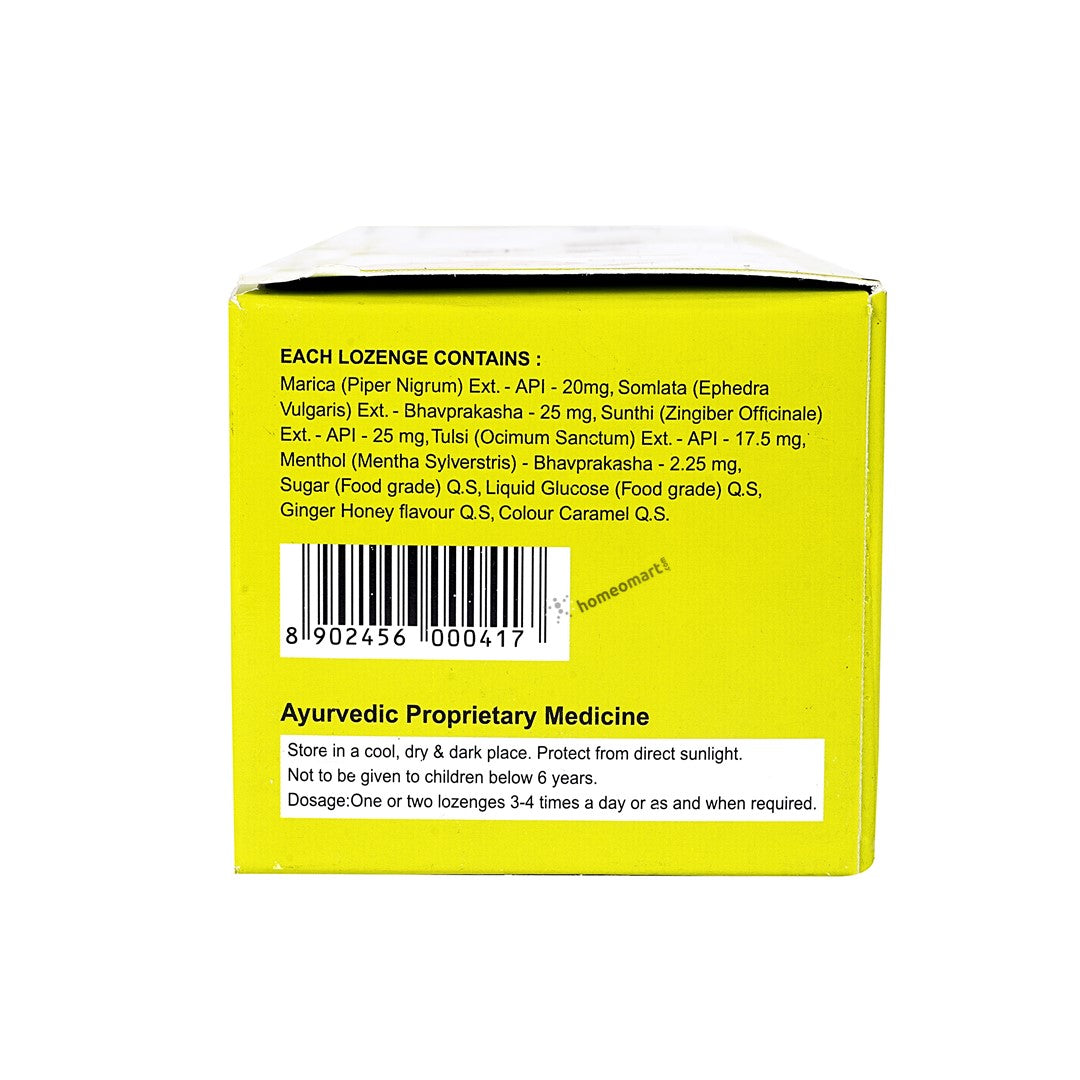 SBL Stodal Lozenges Sore Throat Relief with Ginger, Honey & Tulsi, 0.06 kg